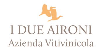 logo-i-due-aironi
